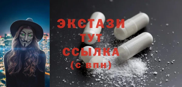 гидра Богородицк