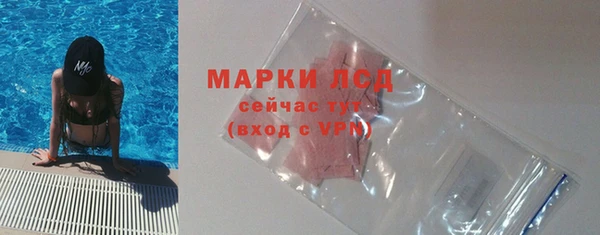 гидра Богородицк