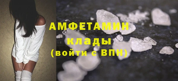 гидра Богородицк