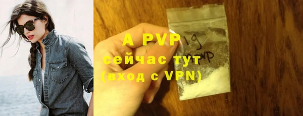 гидра Богородицк