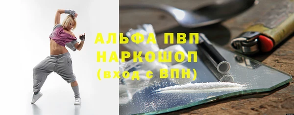 винт Богданович