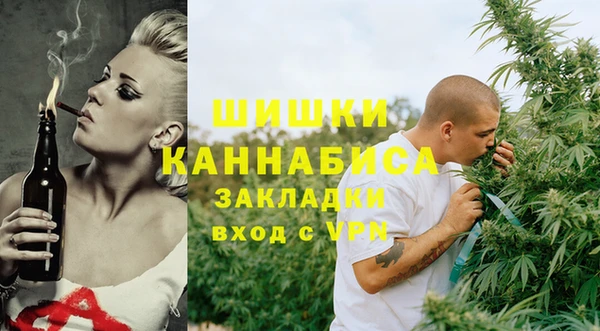 гидра Богородицк