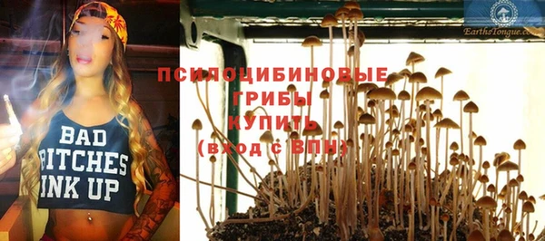 винт Богданович