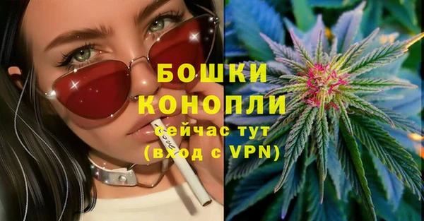 гидра Богородицк