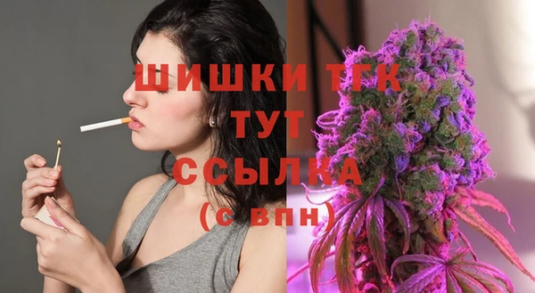 винт Богданович