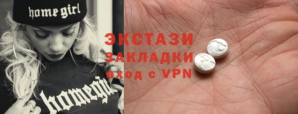 гидра Богородицк